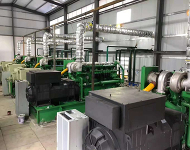 云南某发电项目配金年会网页版页面登录800kw/10.5kv 高压发电机