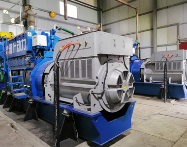 丰都甘泰沼气发电项目配金年会网页版页面登录2台850KW/10.5KV6极高压发电机