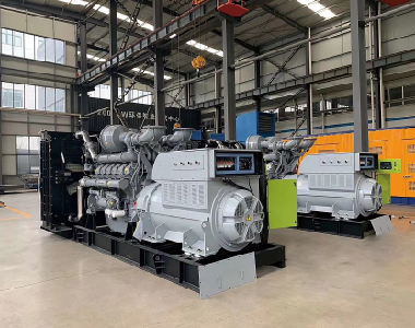 欧洲出口项目（帕金斯配金年会网页版页面登录2台1250KW6300V高压发电机)