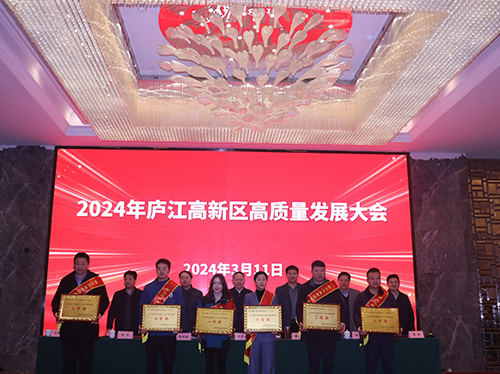【喜报】金年会网页版页面登录电气荣获2023年庐江高新区企业高质量发展一等奖！